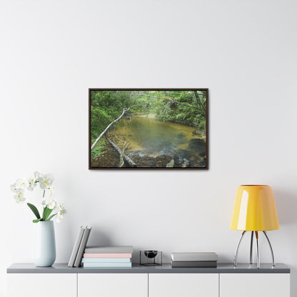 Rainforest Trails & Views - Gallery Canvas Wraps, Horizontal Frame - El Yunque National Forest - Puerto Rico - Pristine Rio Sabana upper river - Green Forest Home
