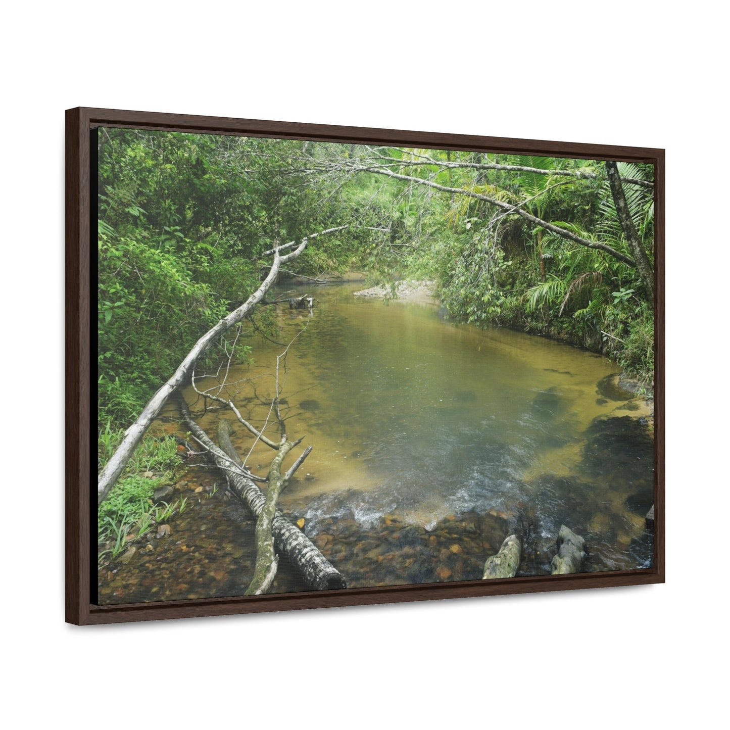 Rainforest Trails & Views - Gallery Canvas Wraps, Horizontal Frame - El Yunque National Forest - Puerto Rico - Pristine Rio Sabana upper river - Green Forest Home