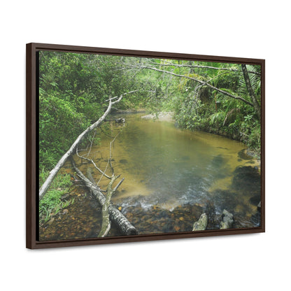 Rainforest Trails & Views - Gallery Canvas Wraps, Horizontal Frame - El Yunque National Forest - Puerto Rico - Pristine Rio Sabana upper river - Green Forest Home