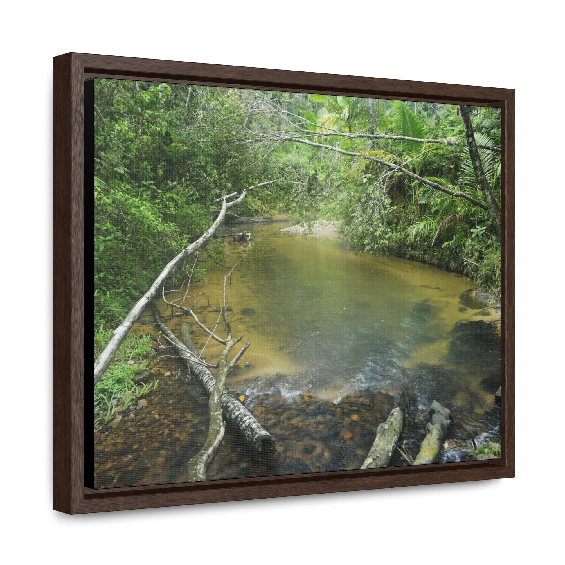Rainforest Trails & Views - Gallery Canvas Wraps, Horizontal Frame - El Yunque National Forest - Puerto Rico - Pristine Rio Sabana upper river - Green Forest Home