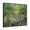 Rainforest Trails & Views - Gallery Canvas Wraps, Horizontal Frame - El Yunque National Forest - Puerto Rico - Pristine Rio Sabana upper river - Green Forest Home