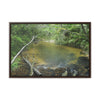 Rainforest Trails & Views - Gallery Canvas Wraps, Horizontal Frame - El Yunque National Forest - Puerto Rico - Pristine Rio Sabana upper river - Green Forest Home