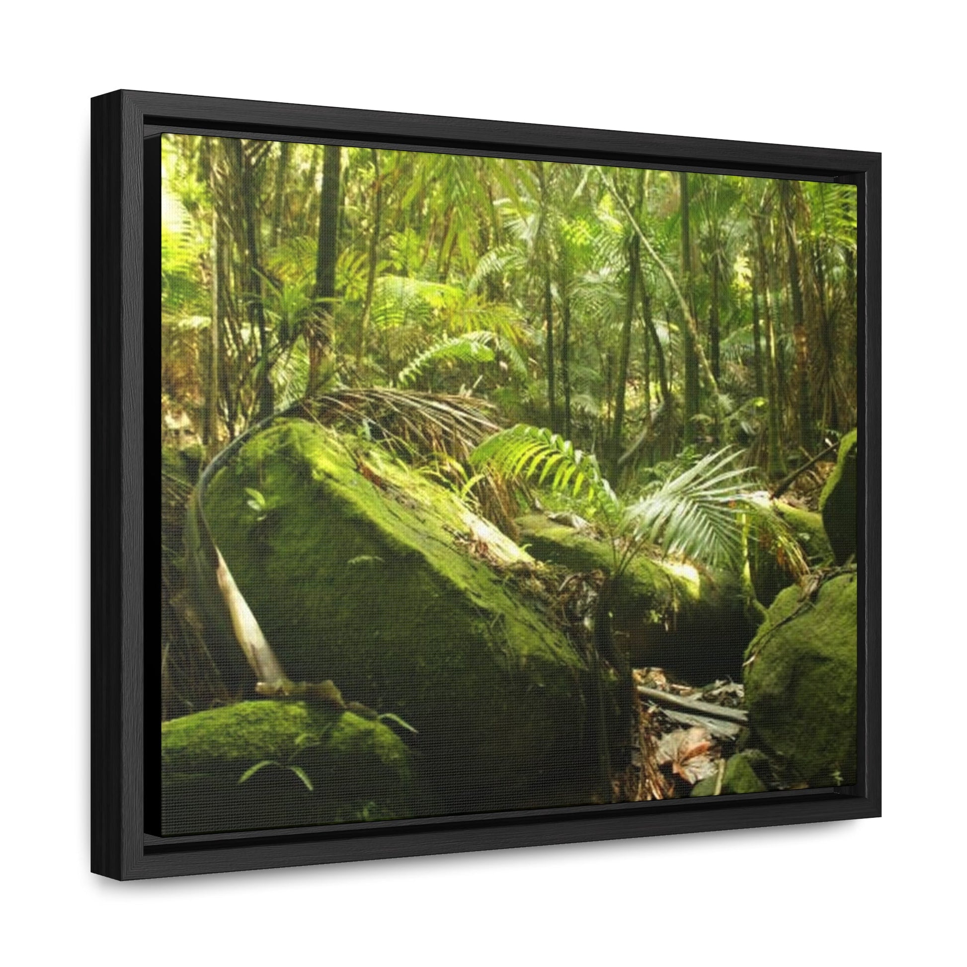 Rainforest Trails & Views - Gallery Canvas Wraps, Horizontal Frame - El Yunque National Forest - Puerto Rico - Rain-flattened boulders in the birth of Holy Spirit River - Green Forest Home