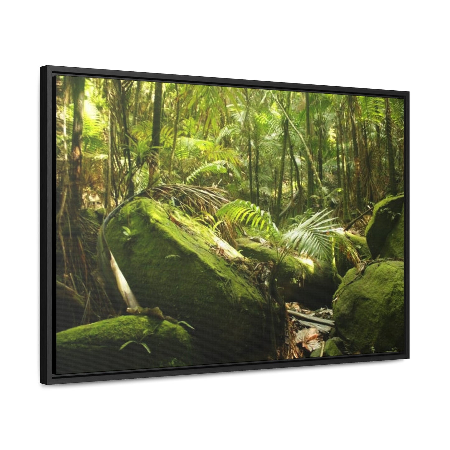 Rainforest Trails & Views - Gallery Canvas Wraps, Horizontal Frame - El Yunque National Forest - Puerto Rico - Rain-flattened boulders in the birth of Holy Spirit River - Green Forest Home