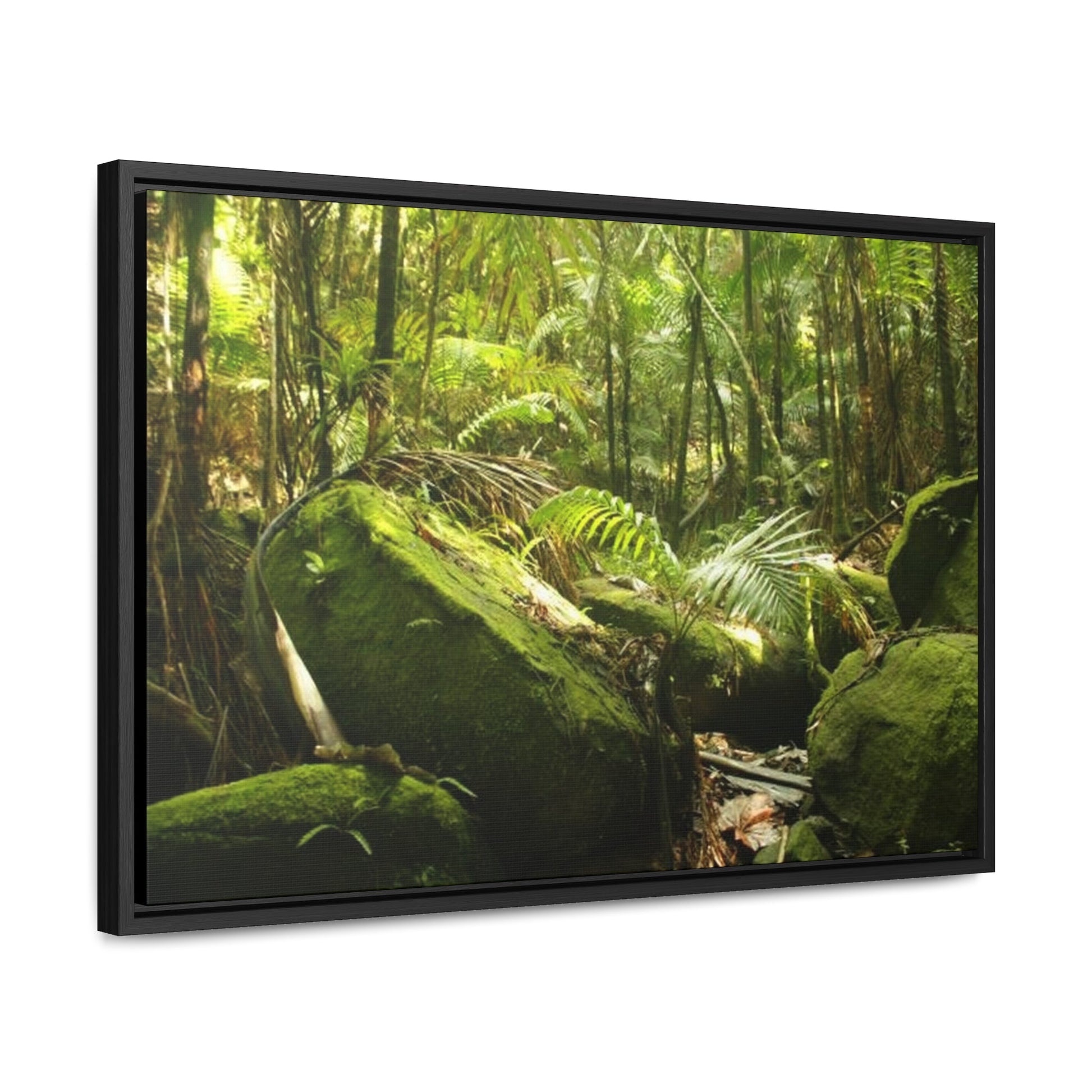 Rainforest Trails & Views - Gallery Canvas Wraps, Horizontal Frame - El Yunque National Forest - Puerto Rico - Rain-flattened boulders in the birth of Holy Spirit River - Green Forest Home