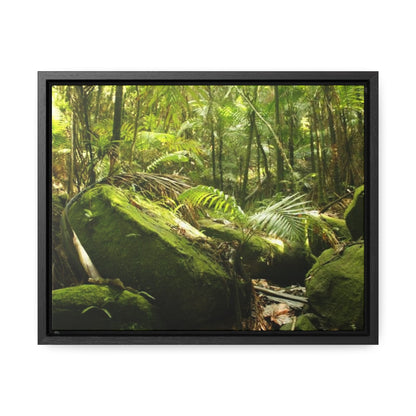 Rainforest Trails & Views - Gallery Canvas Wraps, Horizontal Frame - El Yunque National Forest - Puerto Rico - Rain-flattened boulders in the birth of Holy Spirit River - Green Forest Home