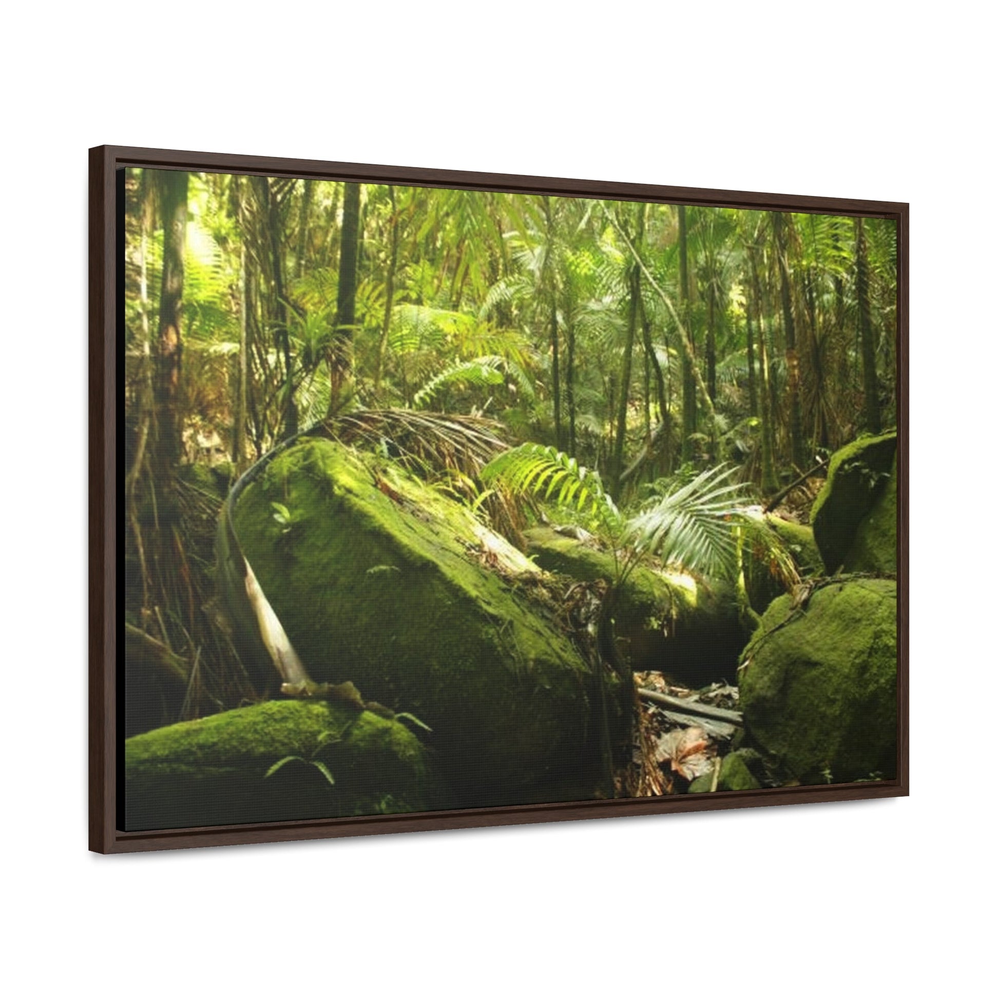 Rainforest Trails & Views - Gallery Canvas Wraps, Horizontal Frame - El Yunque National Forest - Puerto Rico - Rain-flattened boulders in the birth of Holy Spirit River - Green Forest Home