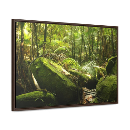 Rainforest Trails & Views - Gallery Canvas Wraps, Horizontal Frame - El Yunque National Forest - Puerto Rico - Rain-flattened boulders in the birth of Holy Spirit River - Green Forest Home