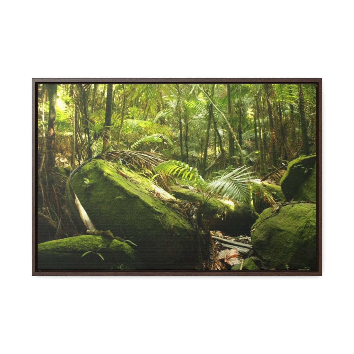 Rainforest Trails & Views - Gallery Canvas Wraps, Horizontal Frame - El Yunque National Forest - Puerto Rico - Rain-flattened boulders in the birth of Holy Spirit River - Green Forest Home