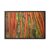 Rainforest Trails & Views - Gallery Canvas Wraps, Horizontal Frame - El Yunque National Forest - Puerto Rico - Red Roots of the Sierra Palm - that survive Hurricane Maria 140 MPH winds in Tradewinds Trail - Green Forest Home