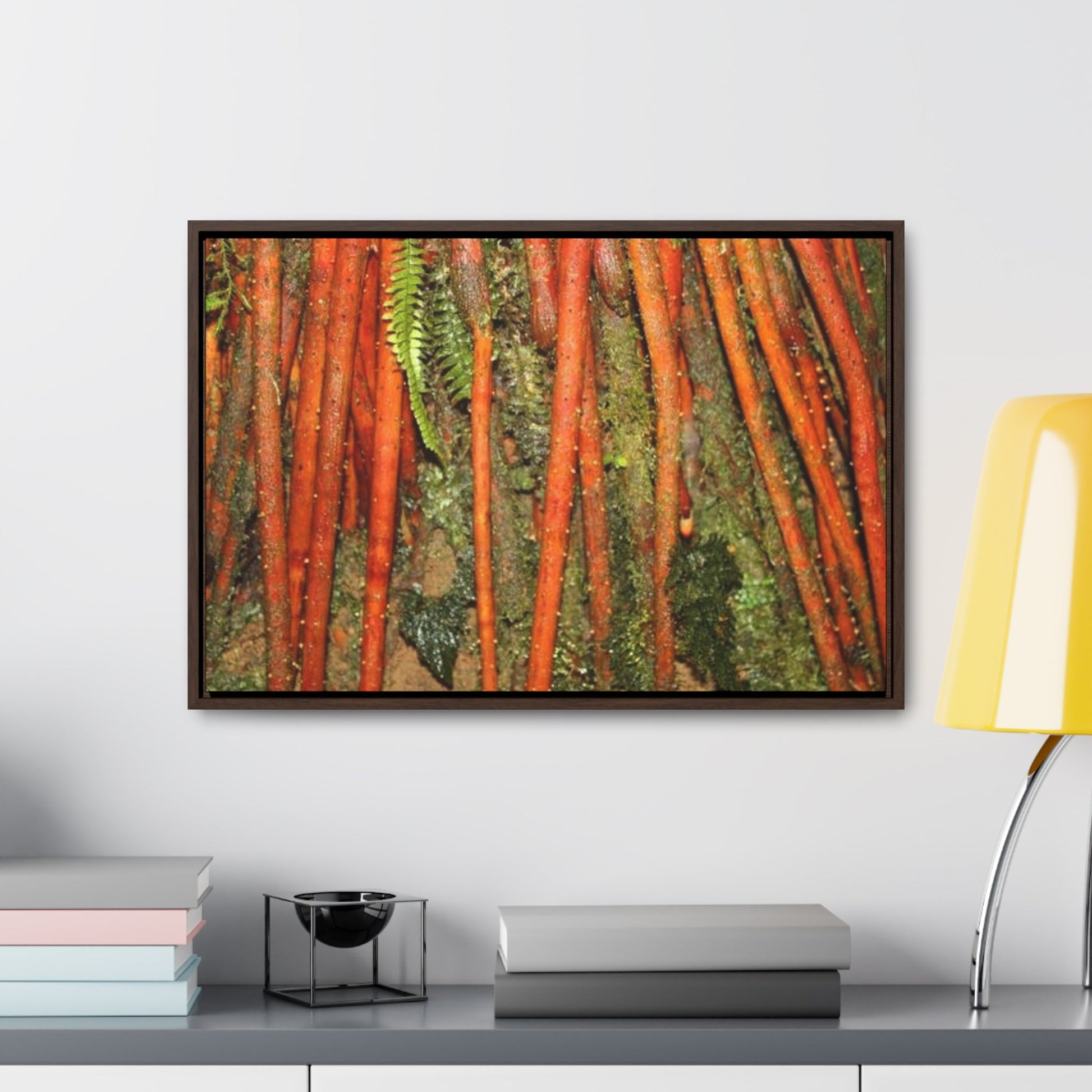 Rainforest Trails & Views - Gallery Canvas Wraps, Horizontal Frame - El Yunque National Forest - Puerto Rico - Red Roots of the Sierra Palm - that survive Hurricane Maria 140 MPH winds in Tradewinds Trail - Green Forest Home