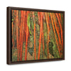 Rainforest Trails & Views - Gallery Canvas Wraps, Horizontal Frame - El Yunque National Forest - Puerto Rico - Red Roots of the Sierra Palm - that survive Hurricane Maria 140 MPH winds in Tradewinds Trail - Green Forest Home