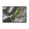 Rainforest Trails & Views - Gallery Canvas Wraps, Horizontal Frame - El Yunque National Forest - Puerto Rico - Rio Sabana a fern grows in a boulders crack due to frequent rains - Green Forest Home