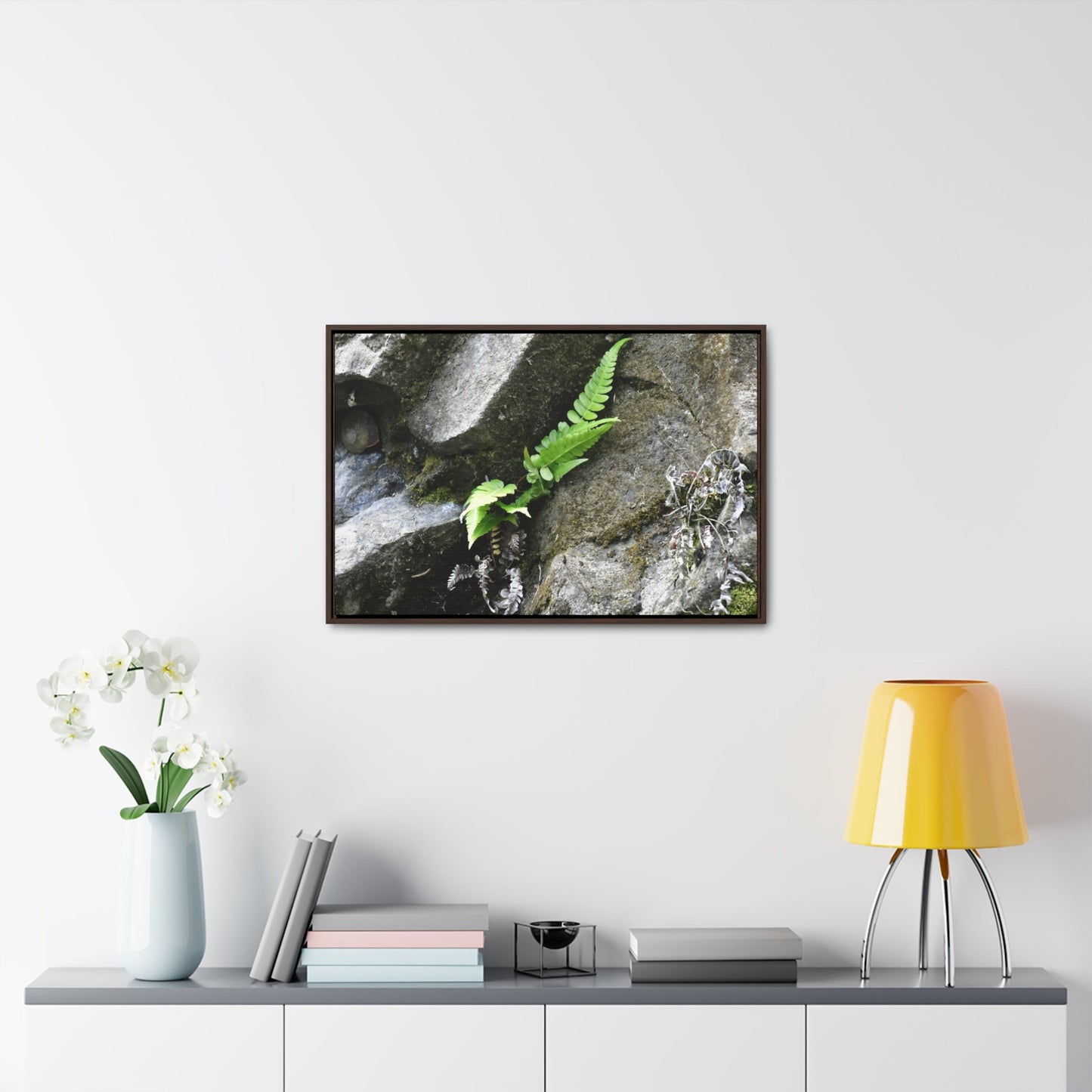 Rainforest Trails & Views - Gallery Canvas Wraps, Horizontal Frame - El Yunque National Forest - Puerto Rico - Rio Sabana a fern grows in a boulders crack due to frequent rains - Green Forest Home