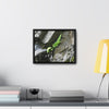 Rainforest Trails & Views - Gallery Canvas Wraps, Horizontal Frame - El Yunque National Forest - Puerto Rico - Rio Sabana a fern grows in a boulders crack due to frequent rains - Green Forest Home