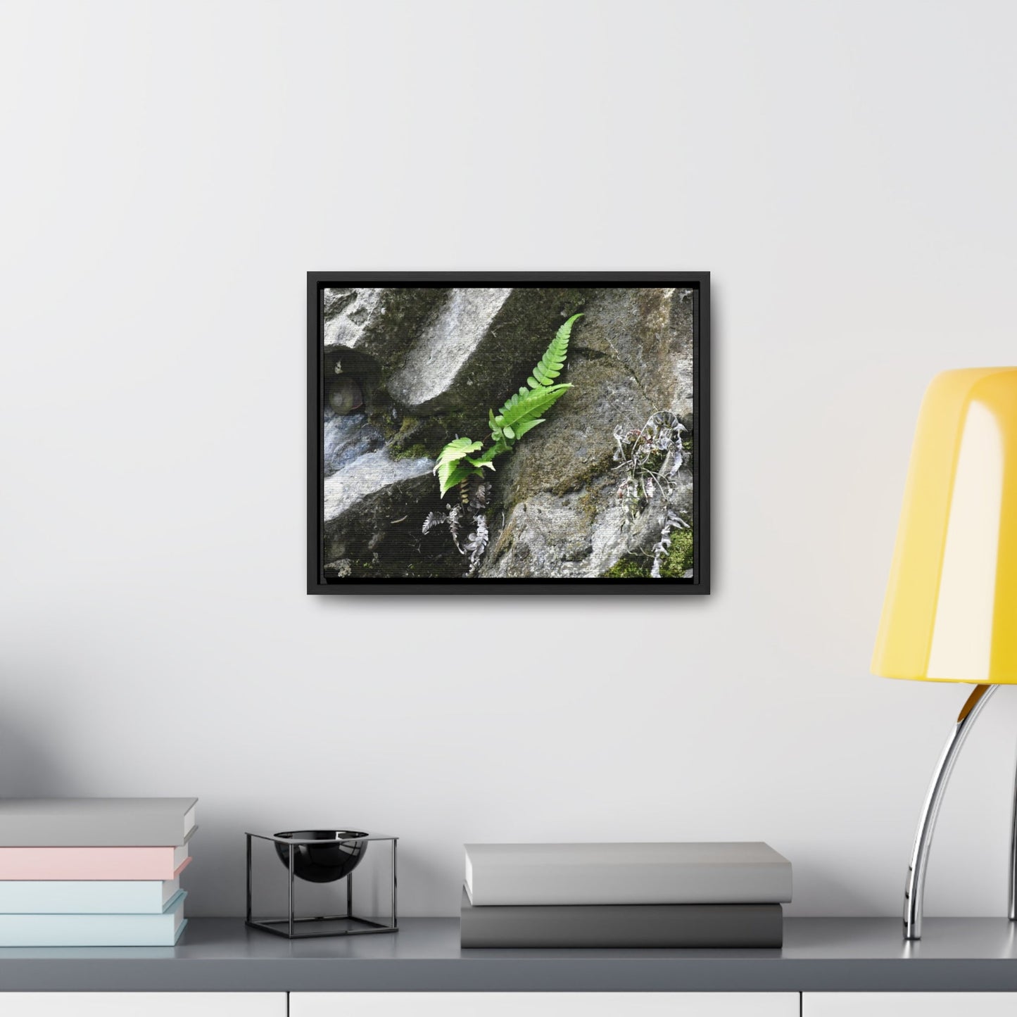 Rainforest Trails & Views - Gallery Canvas Wraps, Horizontal Frame - El Yunque National Forest - Puerto Rico - Rio Sabana a fern grows in a boulders crack due to frequent rains - Green Forest Home