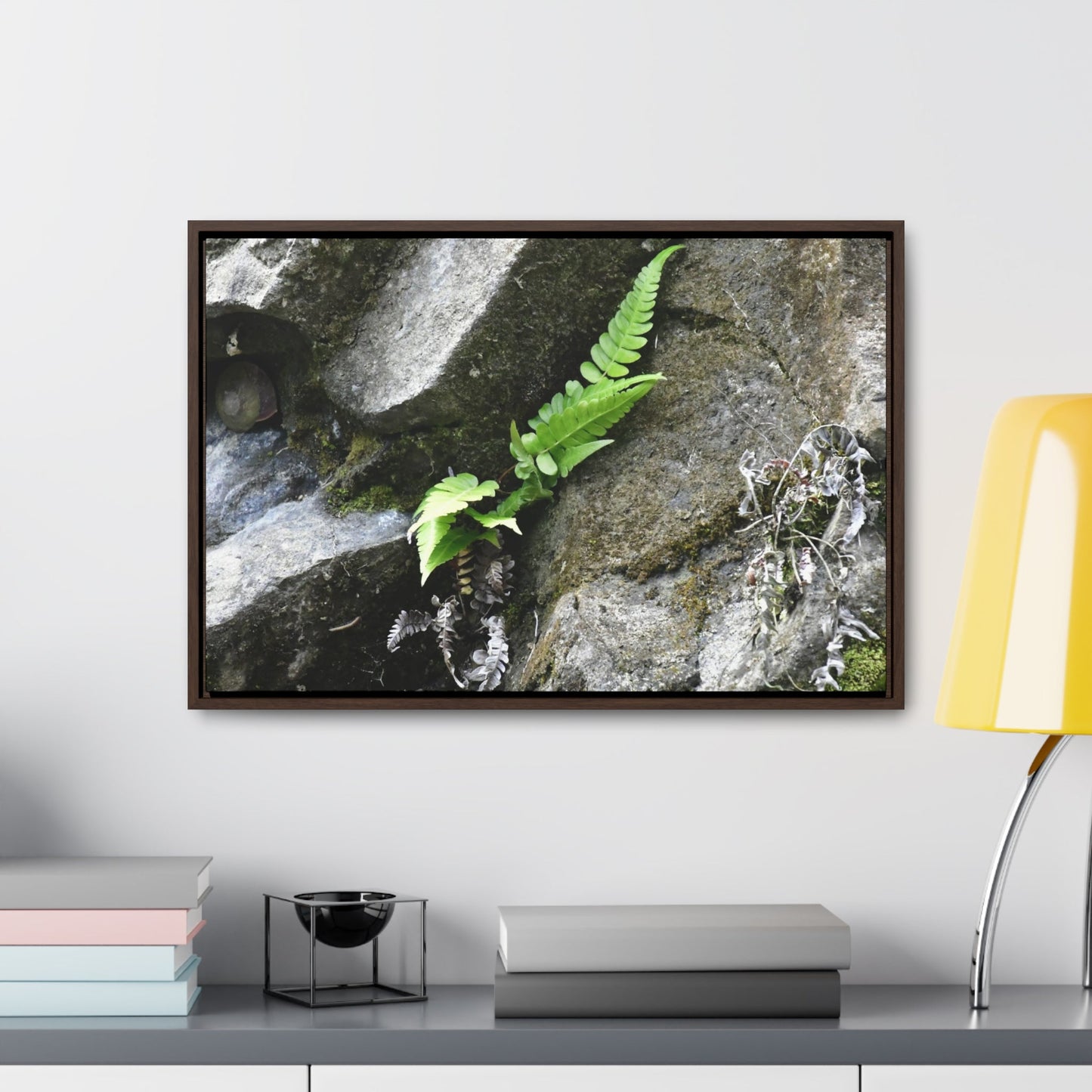 Rainforest Trails & Views - Gallery Canvas Wraps, Horizontal Frame - El Yunque National Forest - Puerto Rico - Rio Sabana a fern grows in a boulders crack due to frequent rains - Green Forest Home