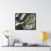 Rainforest Trails & Views - Gallery Canvas Wraps, Horizontal Frame - El Yunque National Forest - Puerto Rico - Rio Sabana a fern grows in a boulders crack due to frequent rains - Green Forest Home