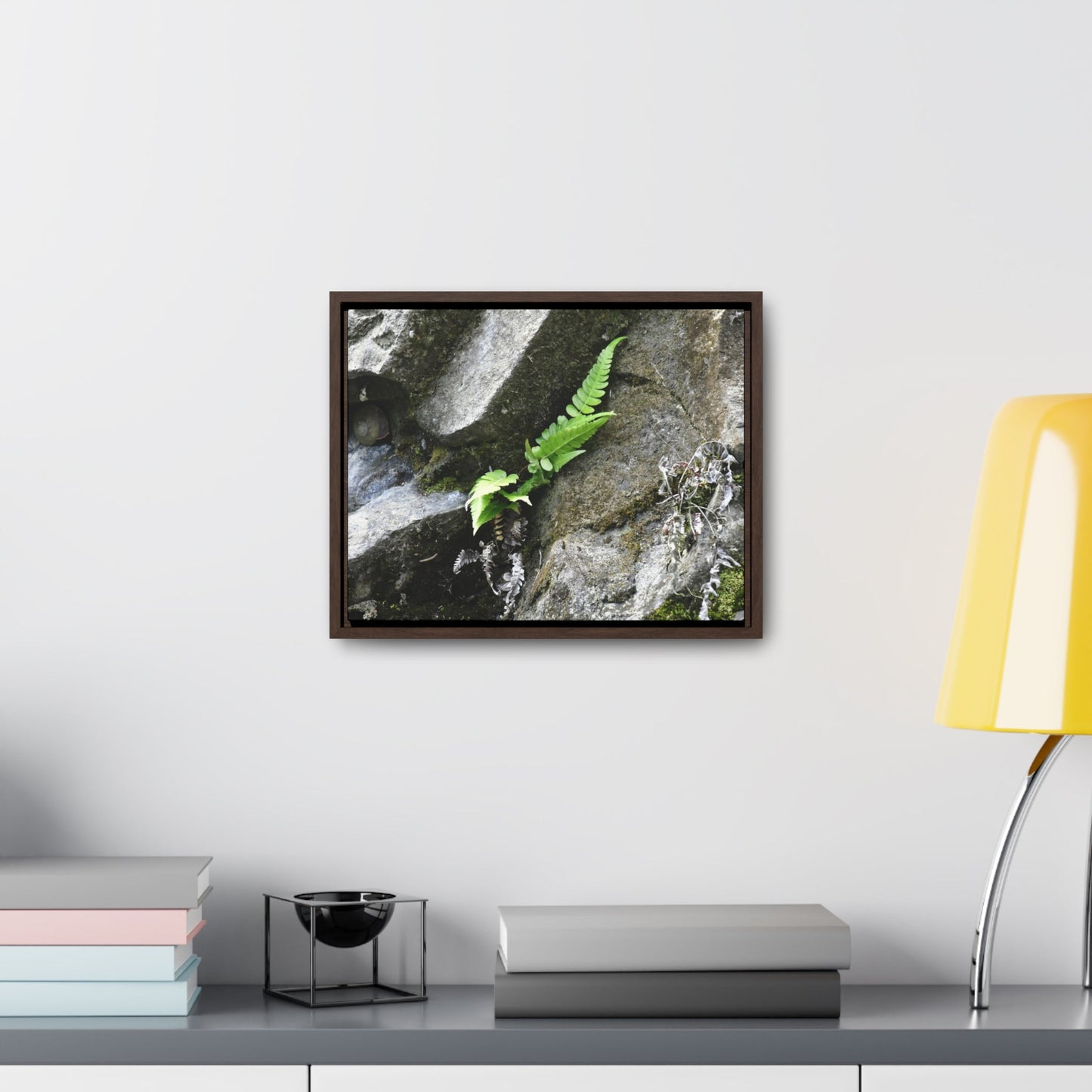 Rainforest Trails & Views - Gallery Canvas Wraps, Horizontal Frame - El Yunque National Forest - Puerto Rico - Rio Sabana a fern grows in a boulders crack due to frequent rains - Green Forest Home
