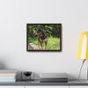 Rainforest Trails & Views - Gallery Canvas Wraps, Horizontal Frame - El Yunque National Forest - Puerto Rico - Rio Sabana Cubuy River - Firo the dog explorer - Green Forest Home