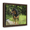 Rainforest Trails & Views - Gallery Canvas Wraps, Horizontal Frame - El Yunque National Forest - Puerto Rico - Rio Sabana Cubuy River - Firo the dog explorer - Green Forest Home