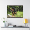 Rainforest Trails & Views - Gallery Canvas Wraps, Horizontal Frame - El Yunque National Forest - Puerto Rico - Rio Sabana Cubuy River - Firo the dog explorer - Green Forest Home