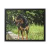 Rainforest Trails & Views - Gallery Canvas Wraps, Horizontal Frame - El Yunque National Forest - Puerto Rico - Rio Sabana Cubuy River - Firo the dog explorer - Green Forest Home