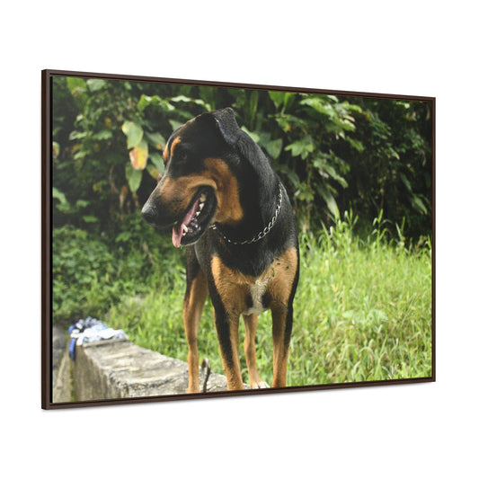 Rainforest Trails & Views - Gallery Canvas Wraps, Horizontal Frame - El Yunque National Forest - Puerto Rico - Rio Sabana Cubuy River - Firo the dog explorer - Green Forest Home