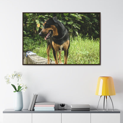 Rainforest Trails & Views - Gallery Canvas Wraps, Horizontal Frame - El Yunque National Forest - Puerto Rico - Rio Sabana Cubuy River - Firo the dog explorer - Green Forest Home
