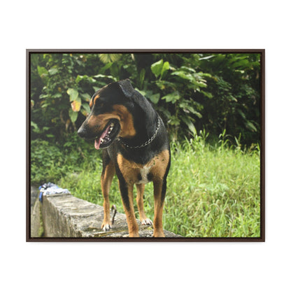 Rainforest Trails & Views - Gallery Canvas Wraps, Horizontal Frame - El Yunque National Forest - Puerto Rico - Rio Sabana Cubuy River - Firo the dog explorer - Green Forest Home