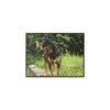 Rainforest Trails & Views - Gallery Canvas Wraps, Horizontal Frame - El Yunque National Forest - Puerto Rico - Rio Sabana Cubuy River - Firo the dog explorer - Green Forest Home