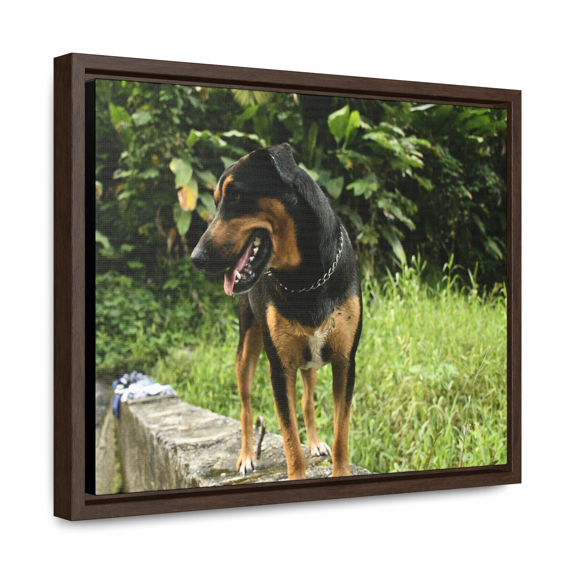 Rainforest Trails & Views - Gallery Canvas Wraps, Horizontal Frame - El Yunque National Forest - Puerto Rico - Rio Sabana Cubuy River - Firo the dog explorer - Green Forest Home