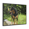 Rainforest Trails & Views - Gallery Canvas Wraps, Horizontal Frame - El Yunque National Forest - Puerto Rico - Rio Sabana Cubuy River - Firo the dog explorer - Green Forest Home