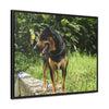 Rainforest Trails & Views - Gallery Canvas Wraps, Horizontal Frame - El Yunque National Forest - Puerto Rico - Rio Sabana Cubuy River - Firo the dog explorer - Green Forest Home