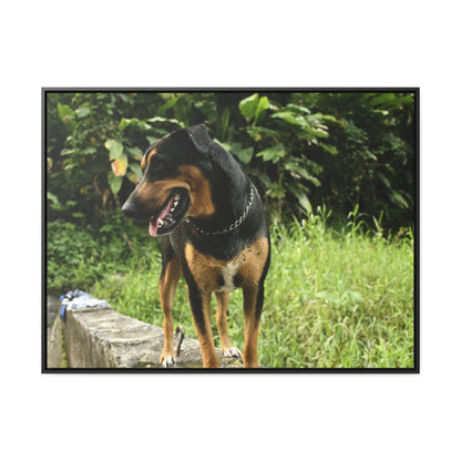 Rainforest Trails & Views - Gallery Canvas Wraps, Horizontal Frame - El Yunque National Forest - Puerto Rico - Rio Sabana Cubuy River - Firo the dog explorer - Green Forest Home