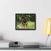 Rainforest Trails & Views - Gallery Canvas Wraps, Horizontal Frame - El Yunque National Forest - Puerto Rico - Rio Sabana Cubuy River - Firo the dog explorer - Green Forest Home