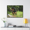 Rainforest Trails & Views - Gallery Canvas Wraps, Horizontal Frame - El Yunque National Forest - Puerto Rico - Rio Sabana Cubuy River - Firo the dog explorer - Green Forest Home