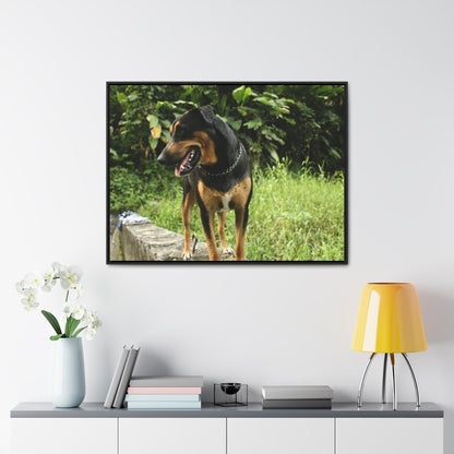 Rainforest Trails & Views - Gallery Canvas Wraps, Horizontal Frame - El Yunque National Forest - Puerto Rico - Rio Sabana Cubuy River - Firo the dog explorer - Green Forest Home