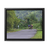 Rainforest Trails & Views - Gallery Canvas Wraps, Horizontal Frame - El Yunque National Forest - Puerto Rico - Rio Sabana cyclist up 191 road Naguabo - Green Forest Home