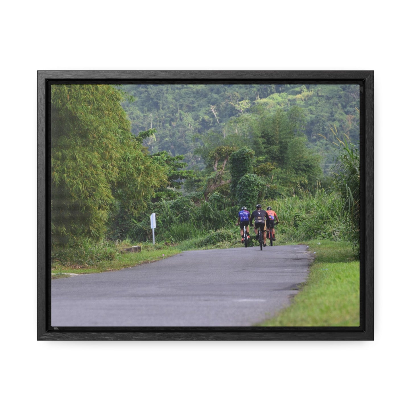 Rainforest Trails & Views - Gallery Canvas Wraps, Horizontal Frame - El Yunque National Forest - Puerto Rico - Rio Sabana cyclist up 191 road Naguabo - Green Forest Home