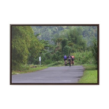 Rainforest Trails & Views - Gallery Canvas Wraps, Horizontal Frame - El Yunque National Forest - Puerto Rico - Rio Sabana cyclist up 191 road Naguabo - Green Forest Home