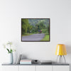 Rainforest Trails & Views - Gallery Canvas Wraps, Horizontal Frame - El Yunque National Forest - Puerto Rico - Rio Sabana cyclist up 191 road Naguabo - Green Forest Home