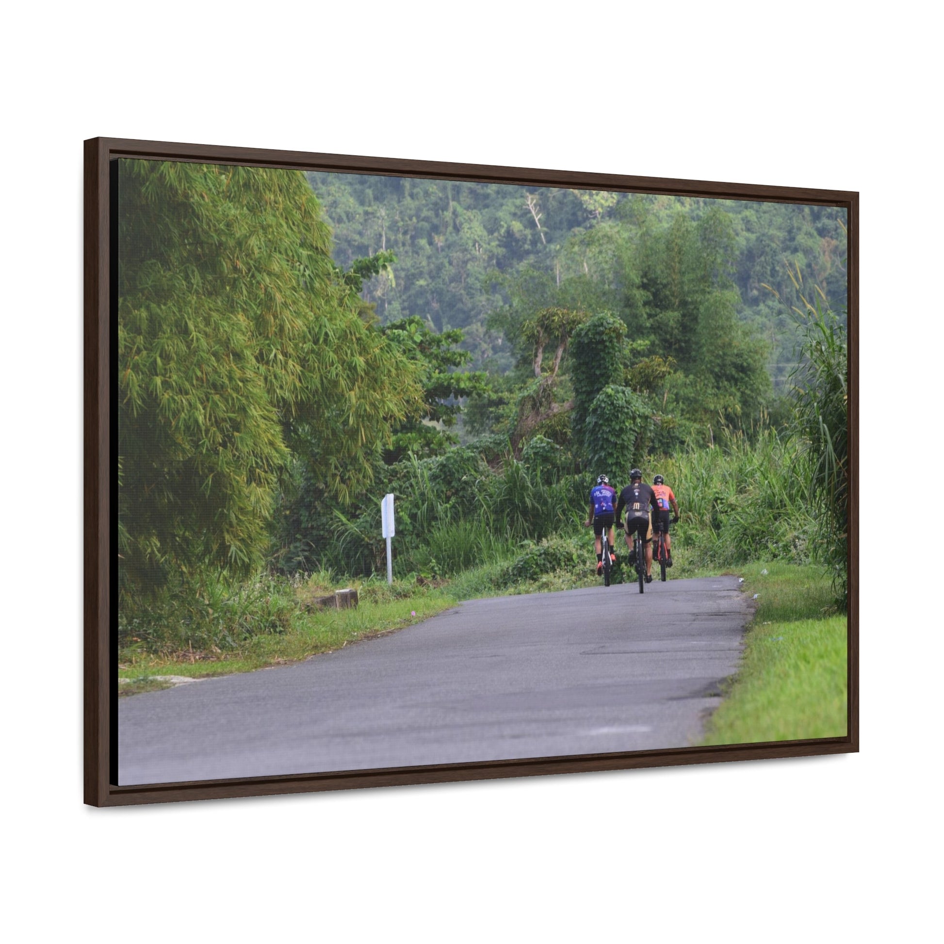 Rainforest Trails & Views - Gallery Canvas Wraps, Horizontal Frame - El Yunque National Forest - Puerto Rico - Rio Sabana cyclist up 191 road Naguabo - Green Forest Home