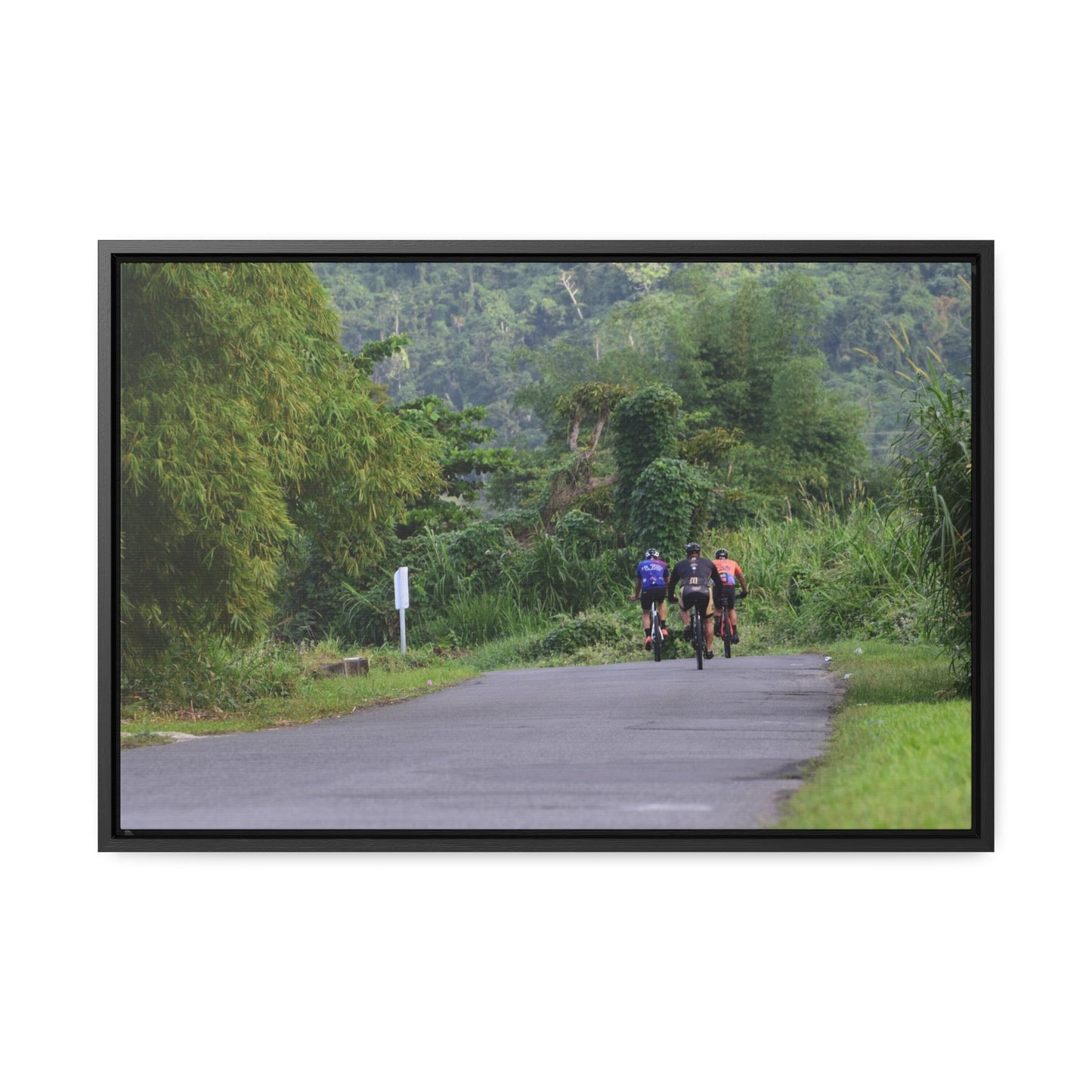 Rainforest Trails & Views - Gallery Canvas Wraps, Horizontal Frame - El Yunque National Forest - Puerto Rico - Rio Sabana cyclist up 191 road Naguabo - Green Forest Home