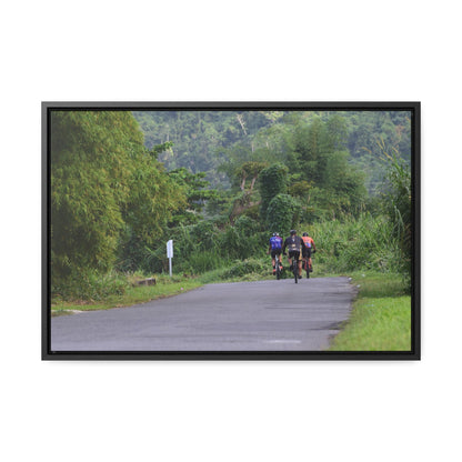 Rainforest Trails & Views - Gallery Canvas Wraps, Horizontal Frame - El Yunque National Forest - Puerto Rico - Rio Sabana cyclist up 191 road Naguabo - Green Forest Home