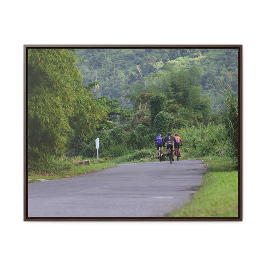 Rainforest Trails & Views - Gallery Canvas Wraps, Horizontal Frame - El Yunque National Forest - Puerto Rico - Rio Sabana cyclist up 191 road Naguabo - Green Forest Home