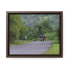 Rainforest Trails & Views - Gallery Canvas Wraps, Horizontal Frame - El Yunque National Forest - Puerto Rico - Rio Sabana cyclist up 191 road Naguabo - Green Forest Home