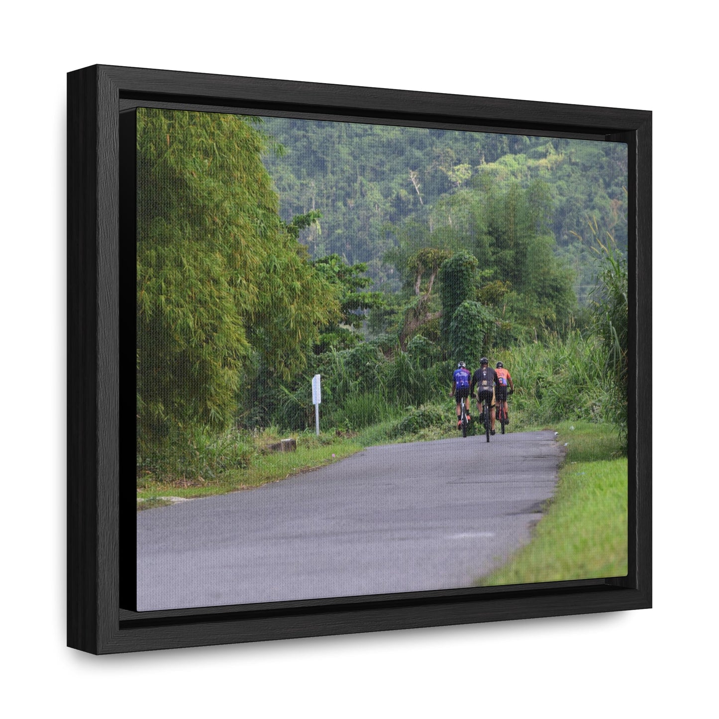 Rainforest Trails & Views - Gallery Canvas Wraps, Horizontal Frame - El Yunque National Forest - Puerto Rico - Rio Sabana cyclist up 191 road Naguabo - Green Forest Home