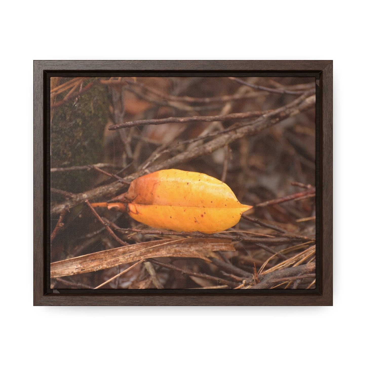 Rainforest Trails & Views - Gallery Canvas Wraps, Horizontal Frame - El Yunque National Forest - Puerto Rico - Rio Sabana - Decay of branches and leaves - Green Forest Home