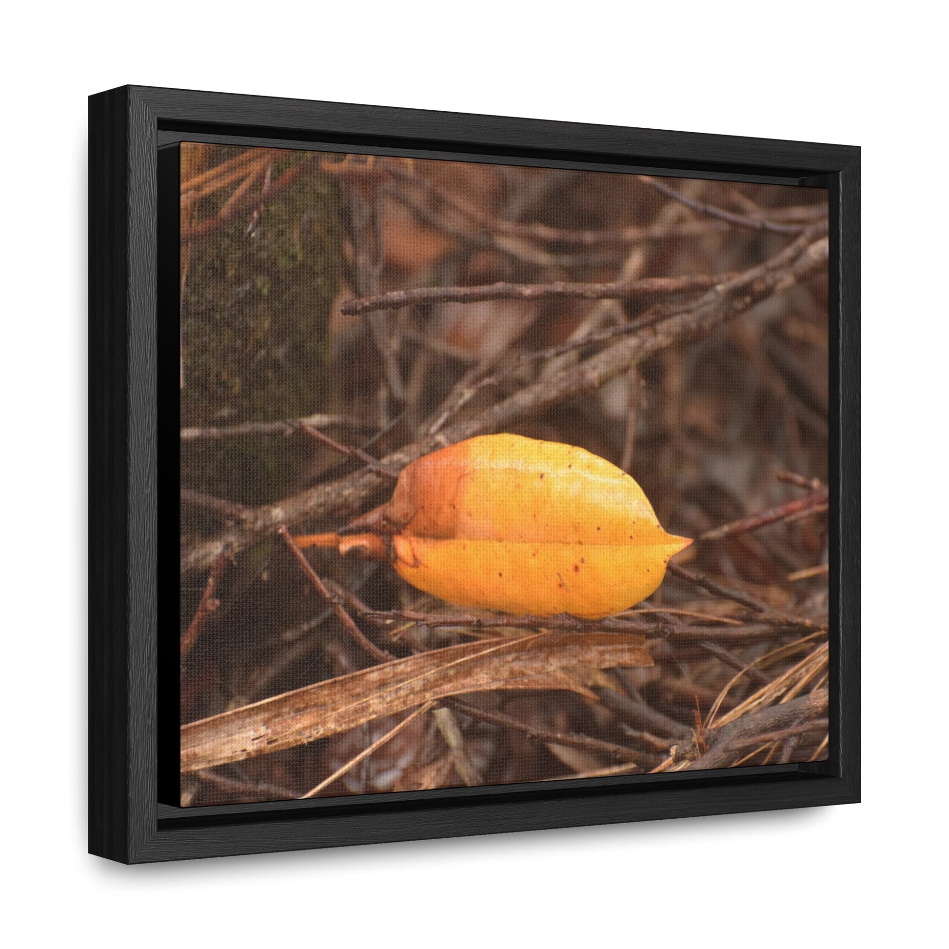 Rainforest Trails & Views - Gallery Canvas Wraps, Horizontal Frame - El Yunque National Forest - Puerto Rico - Rio Sabana - Decay of branches and leaves - Green Forest Home